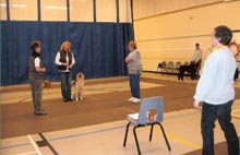 Cornwall District Kennel Club